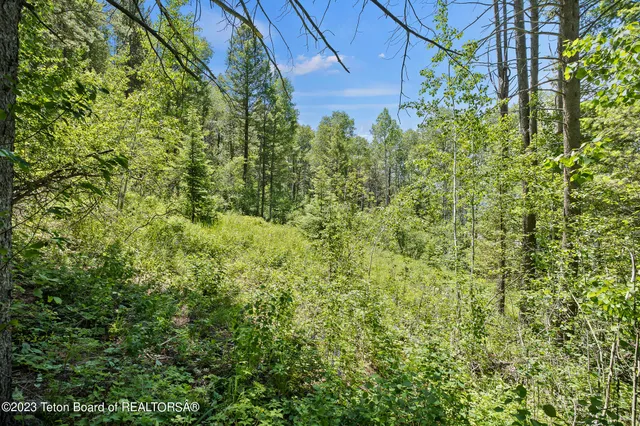 $349,000 | 22 Trail Ridge Road, Alpine, WY 83128