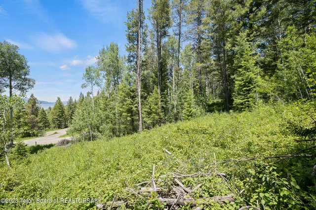 $349,000 | 22 Trail Ridge Road, Alpine, WY 83128