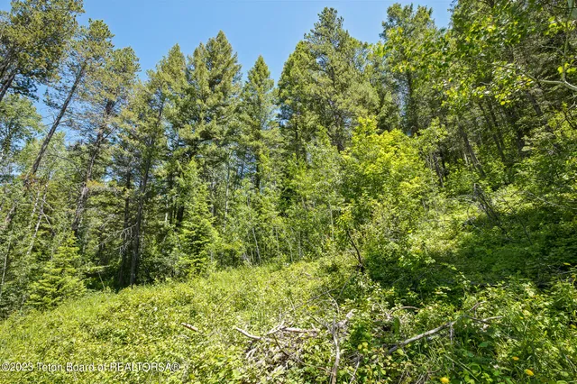$349,000 | 22 Trail Ridge Road, Alpine, WY 83128