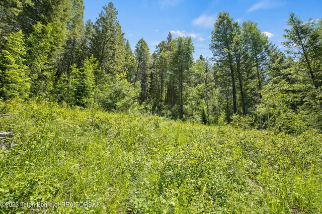 $349,000 | 22 Trail Ridge Road, Alpine, WY 83128