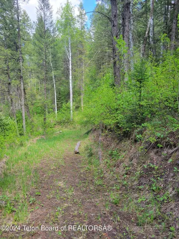 $349,000 | 22 Trail Ridge Road, Alpine, WY 83128