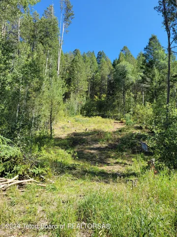 $349,000 | 22 Trail Ridge Road, Alpine, WY 83128
