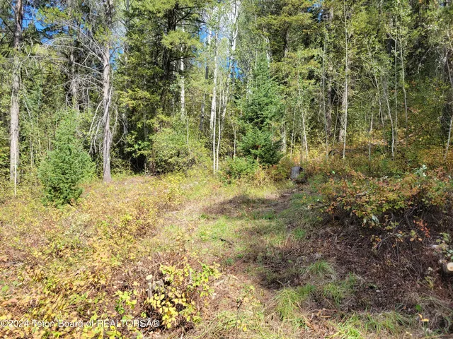 $349,000 | 22 Trail Ridge Road, Alpine, WY 83128