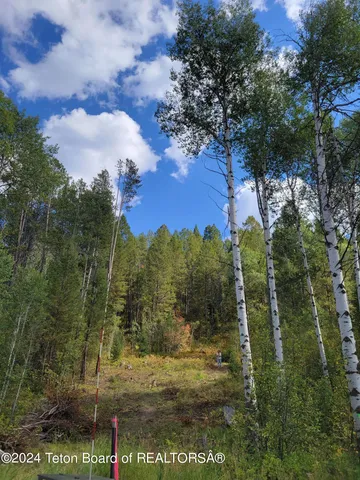 $349,000 | 22 Trail Ridge Road, Alpine, WY 83128