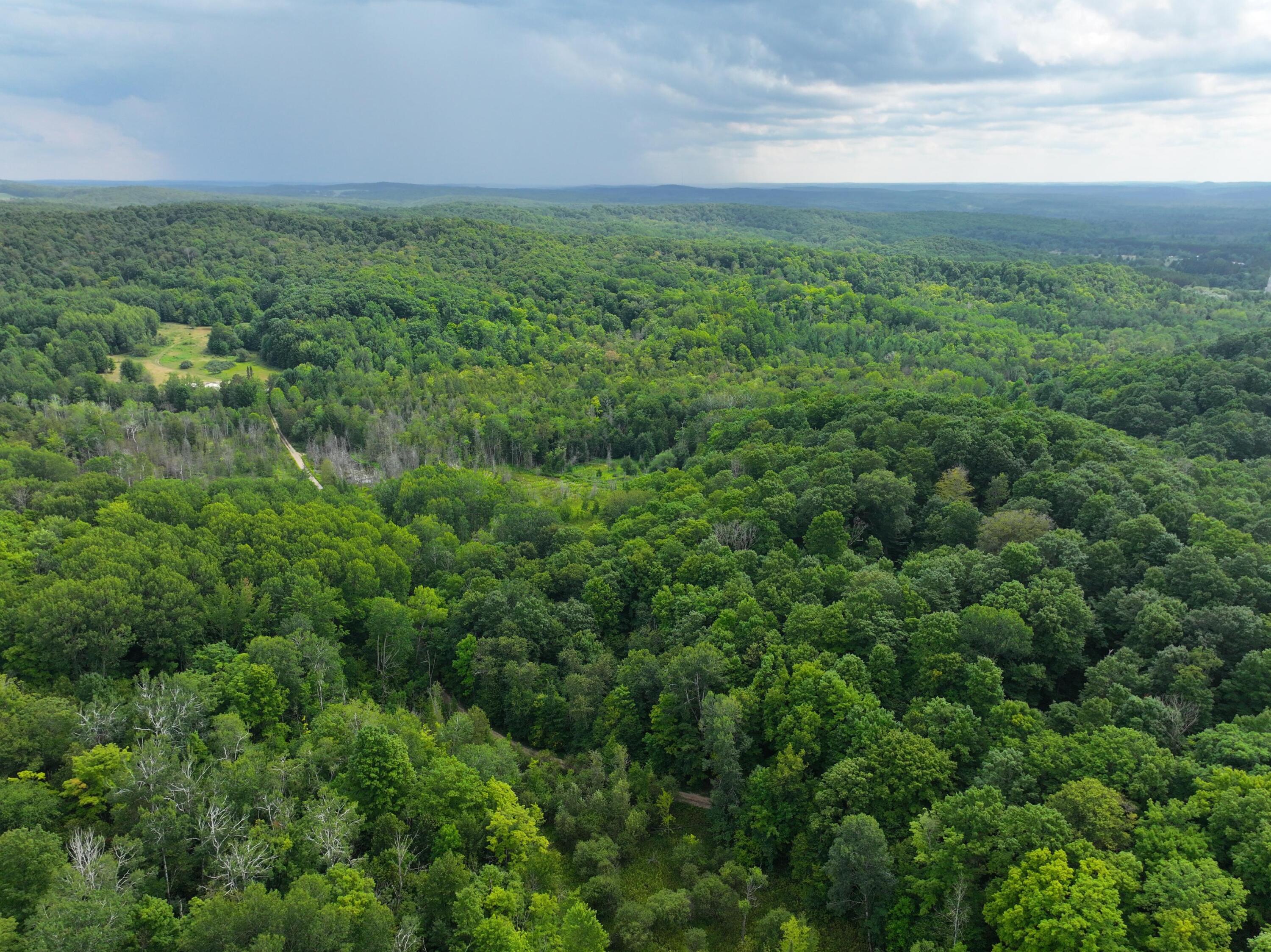 E20 A Lambdin Road East Jordan, MI 49727 - Photo 1 of 31 DJI_20260805152908_0916_D