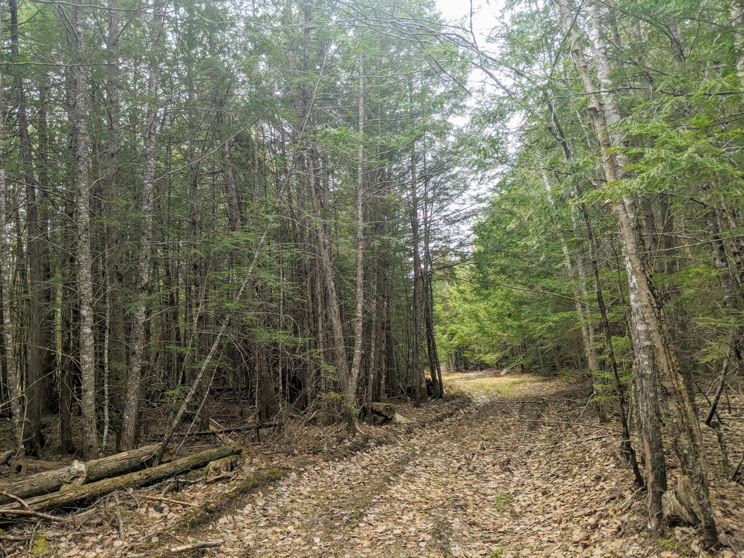 0 State Park Road Dover-Foxcroft, ME 04426 - Photo 11 of 29 IMG_20210429_121631