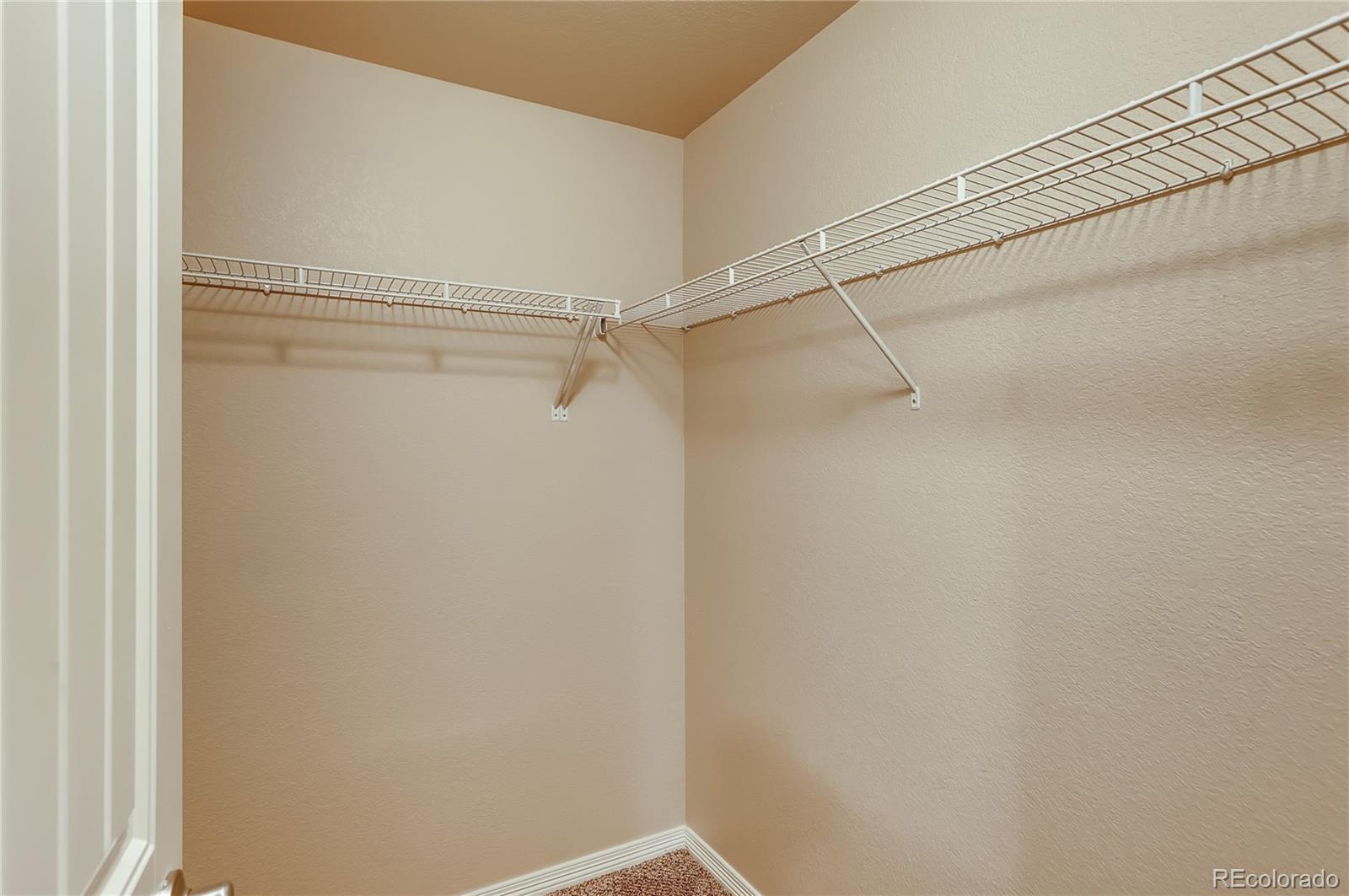 476 Wind River Drive Windsor, CO 80550 - Photo 28 of 38