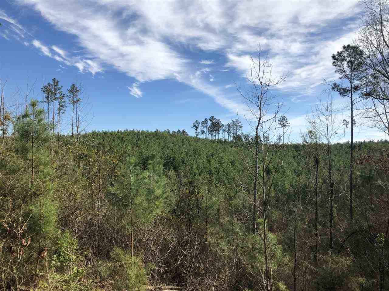 0 Seymour Road Kilmichael, MS 39747 - Photo 1 of 15 Photo 1