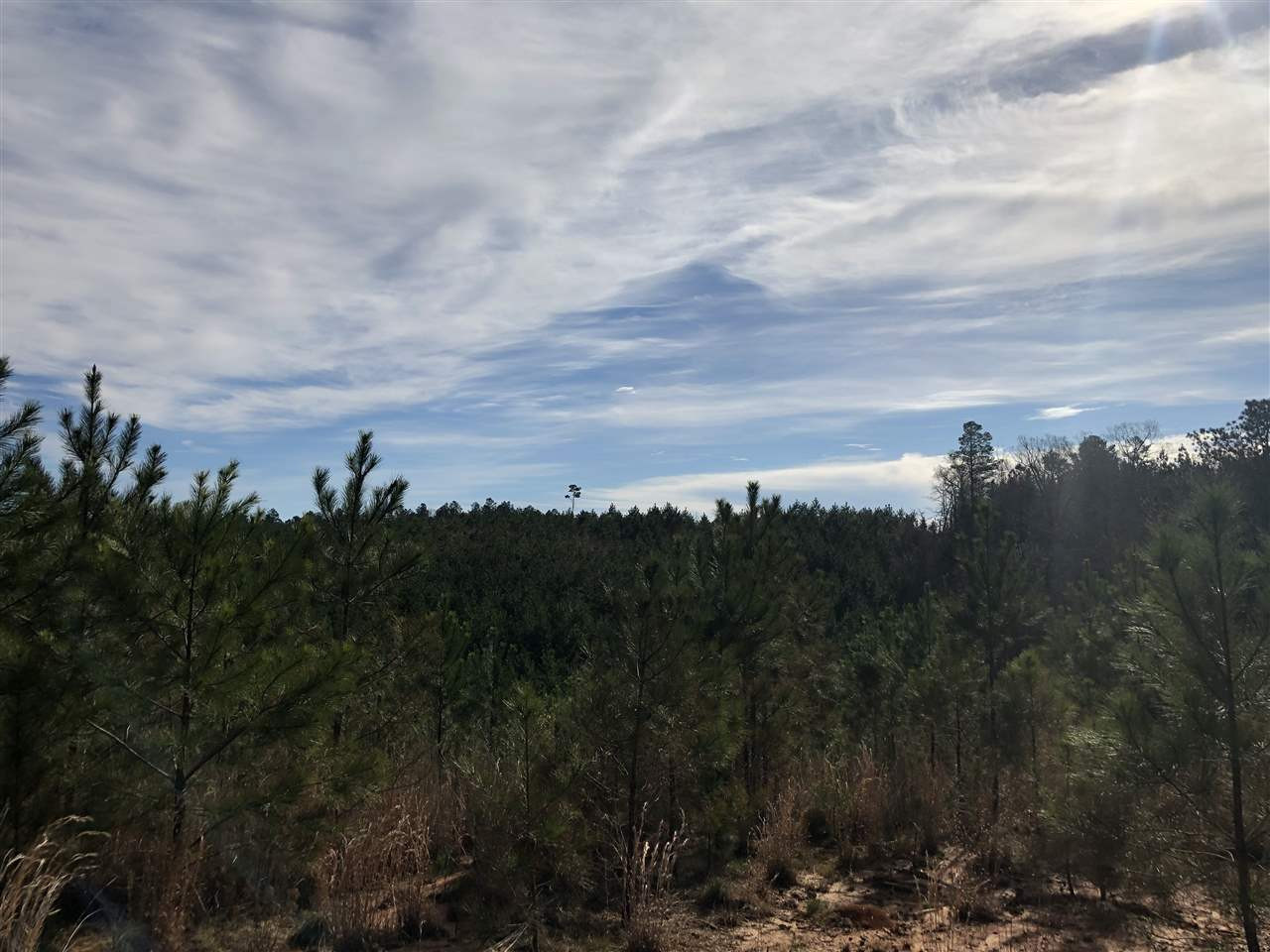 0 Seymour Road Kilmichael, MS 39747 - Photo 11 of 15 Photo 11