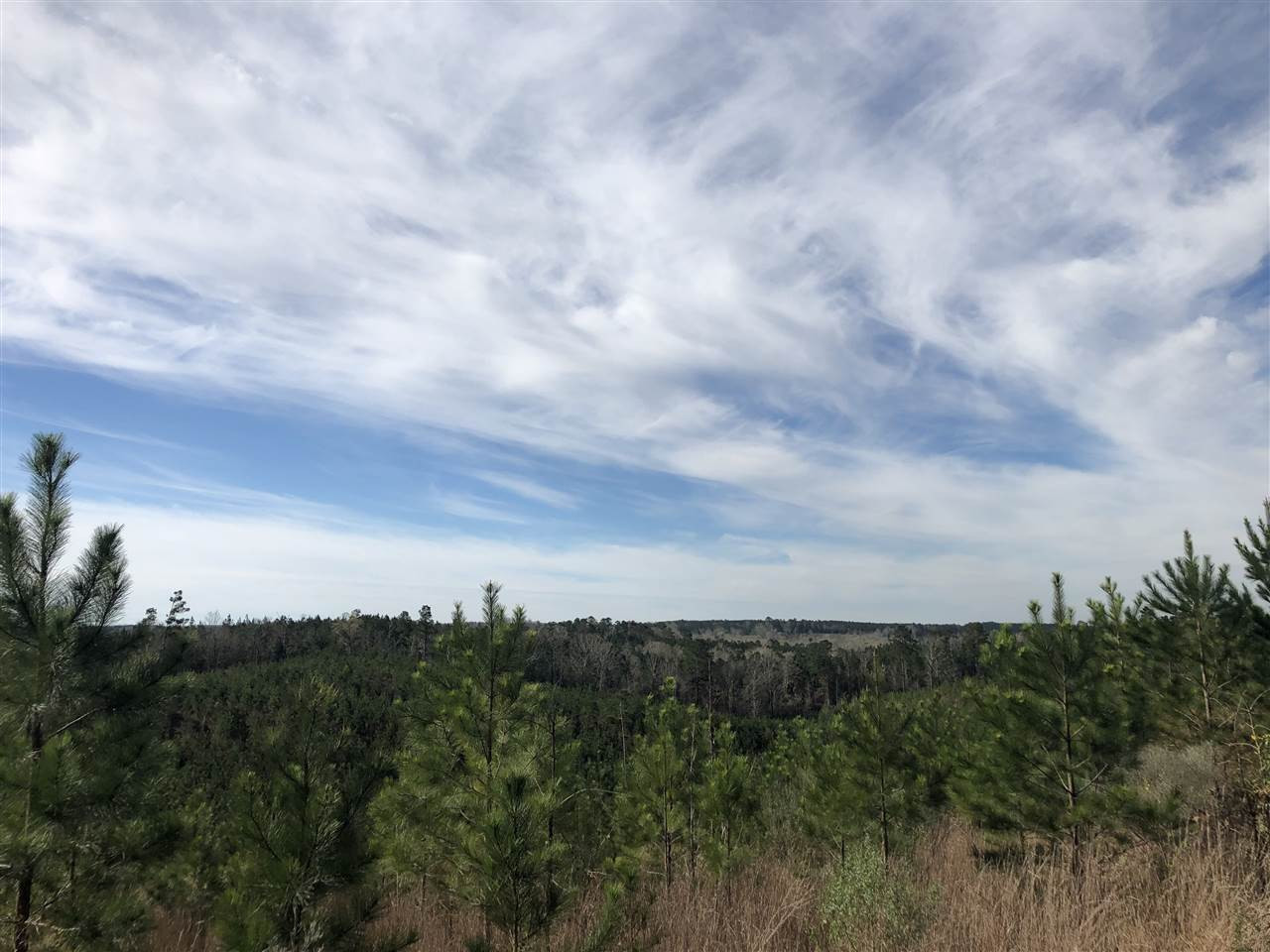0 Seymour Road Kilmichael, MS 39747 - Photo 13 of 15 Photo 13