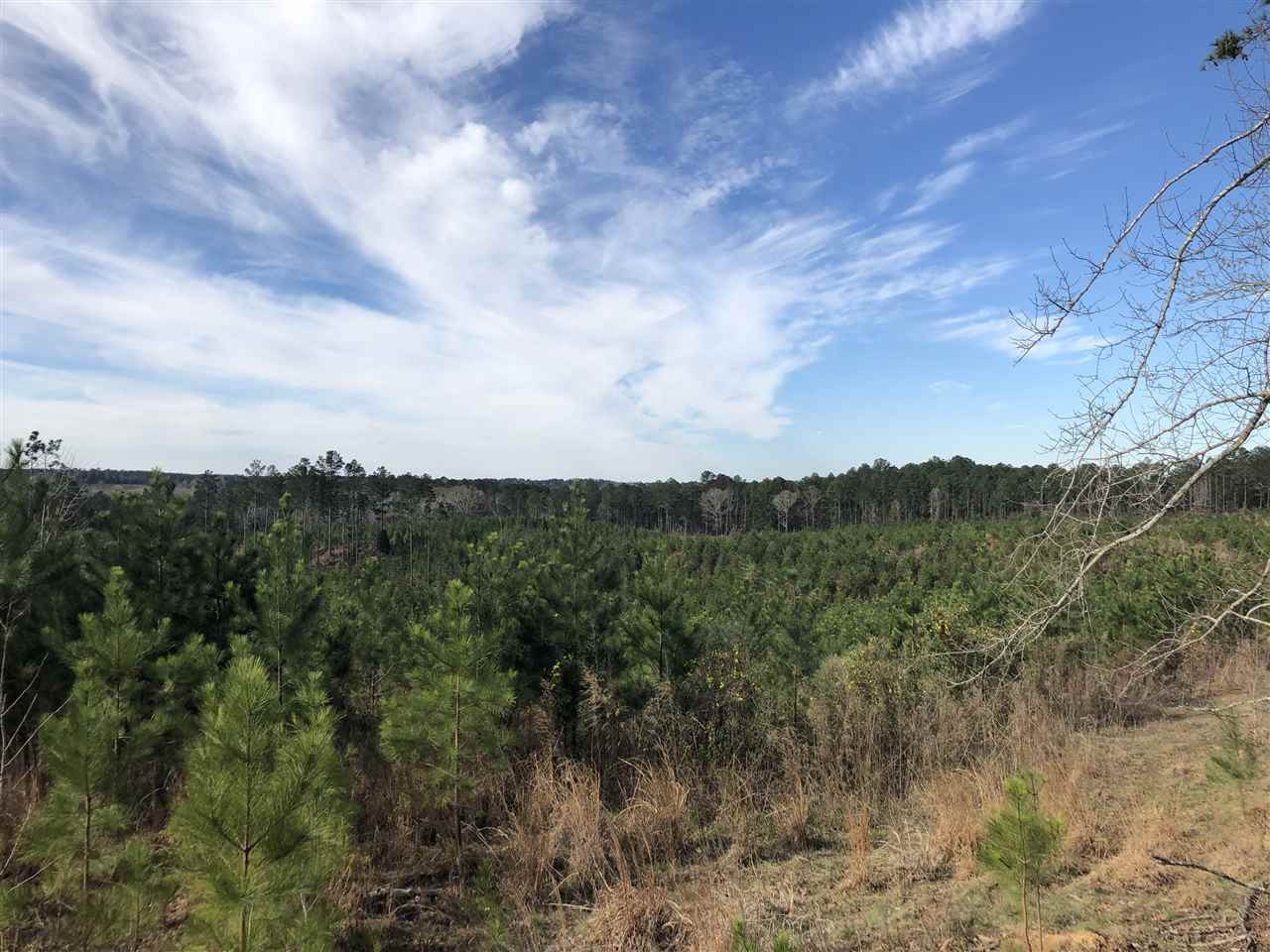 0 Seymour Road Kilmichael, MS 39747 - Photo 14 of 15 Photo 14