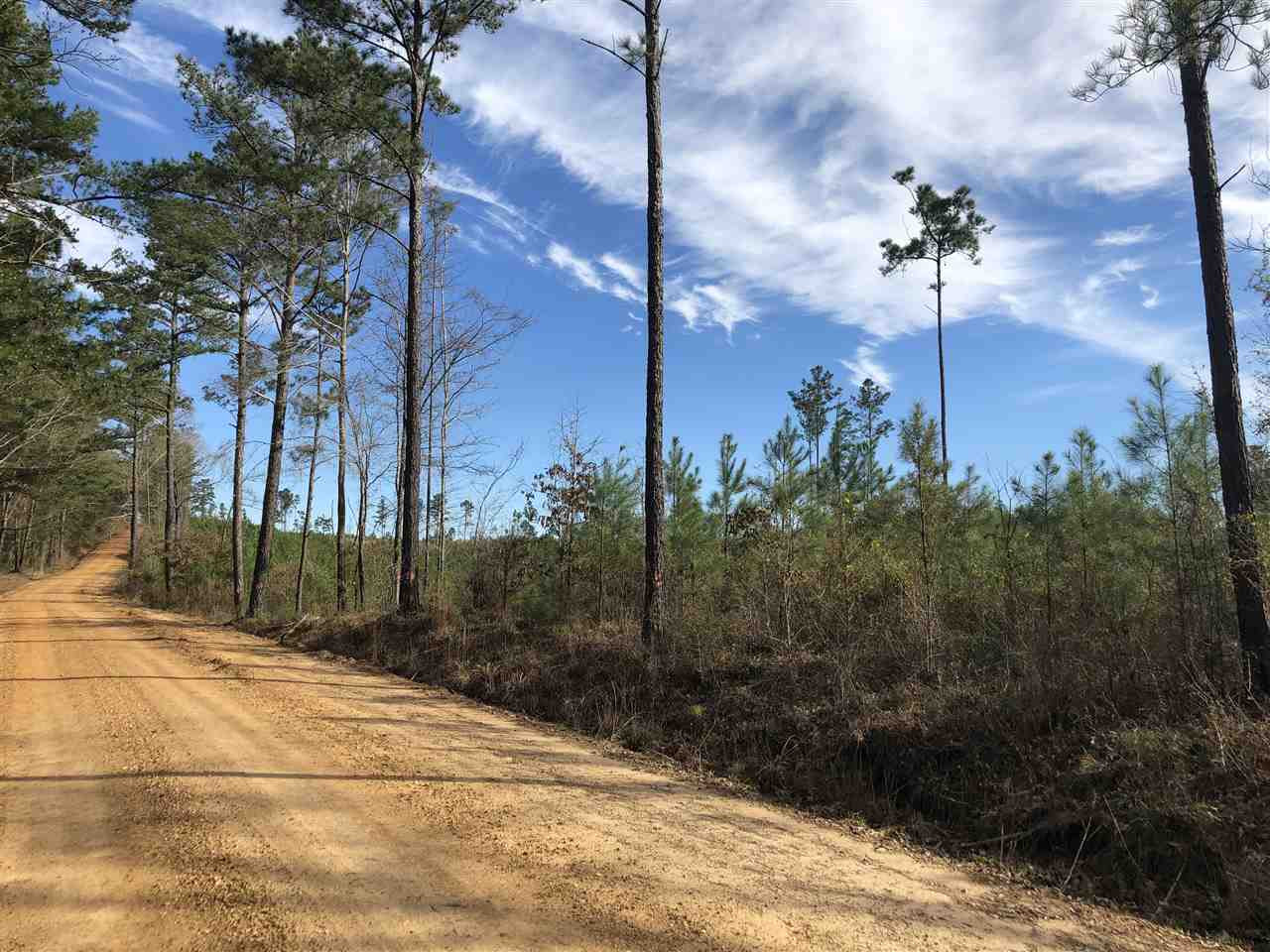 0 Seymour Road Kilmichael, MS 39747 - Photo 2 of 15 Photo 2