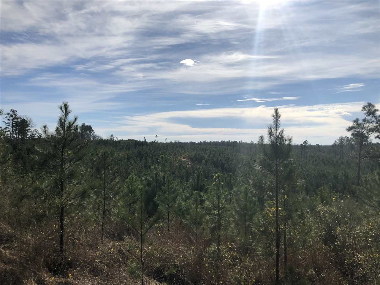 0 Seymour Road Kilmichael, MS 39747 - Photo 5 of 15 Photo 5