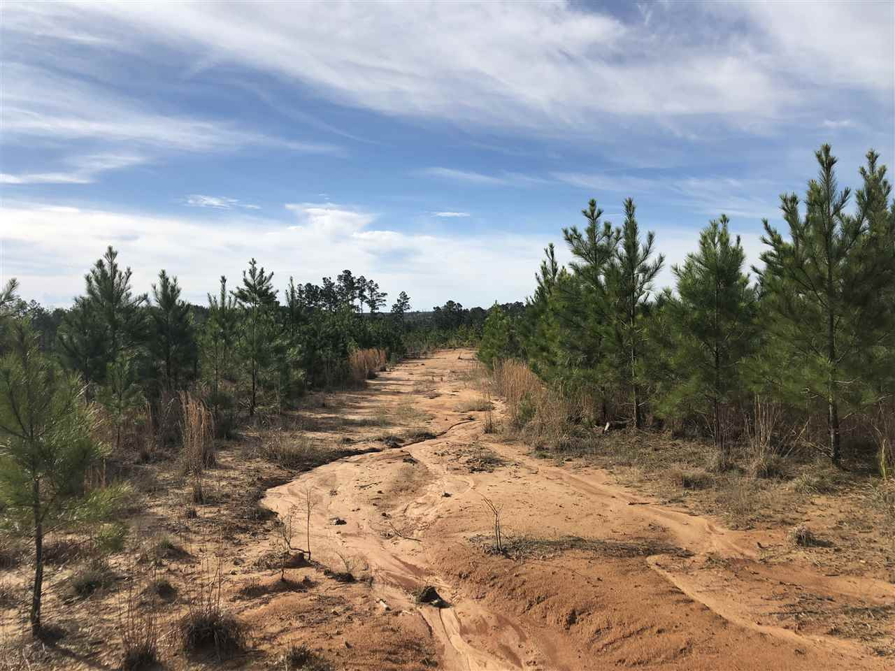 0 Seymour Road Kilmichael, MS 39747 - Photo 7 of 15 Photo 7