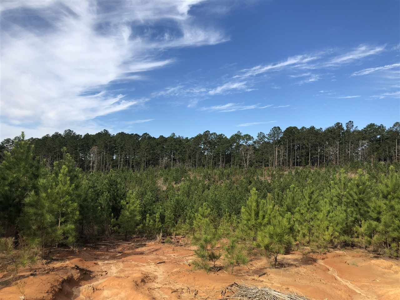 0 Seymour Road Kilmichael, MS 39747 - Photo 8 of 15 Photo 8