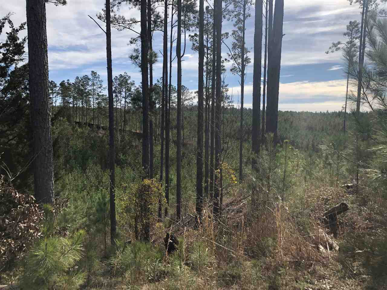 0 Seymour Road Kilmichael, MS 39747 - Photo 10 of 15 Photo 10