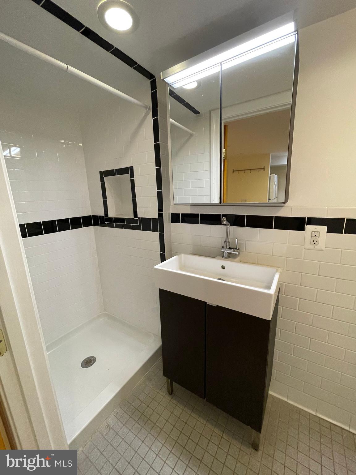 539 24th Street Northeast Washington, DC 20002 - Photo 32 of 37 a bathroom with a sink a mirror and a shower