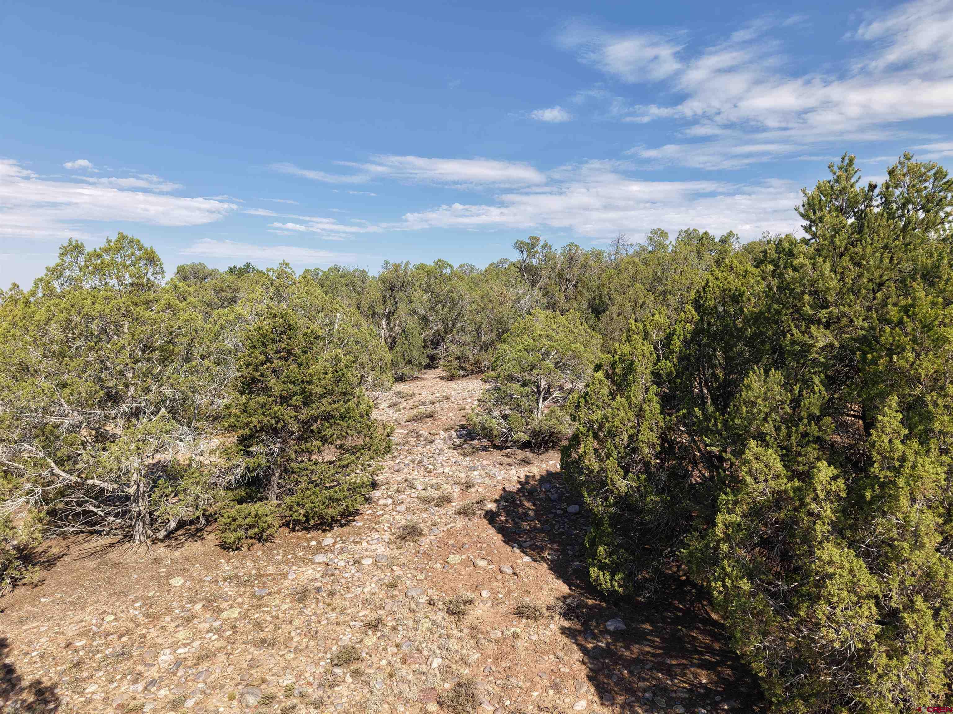 310 Ignacio Co 81137 Ignacio, CO 81137 - Photo 17 of 25