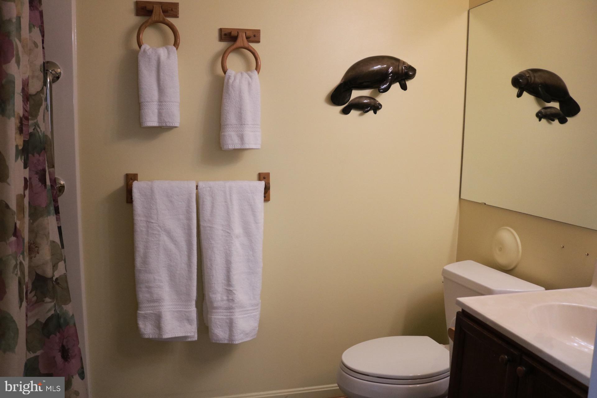 2108 Whitehall Road, Unit BC Frederick, MD 21702 - Photo 21 of 35 Primary En Suite bath