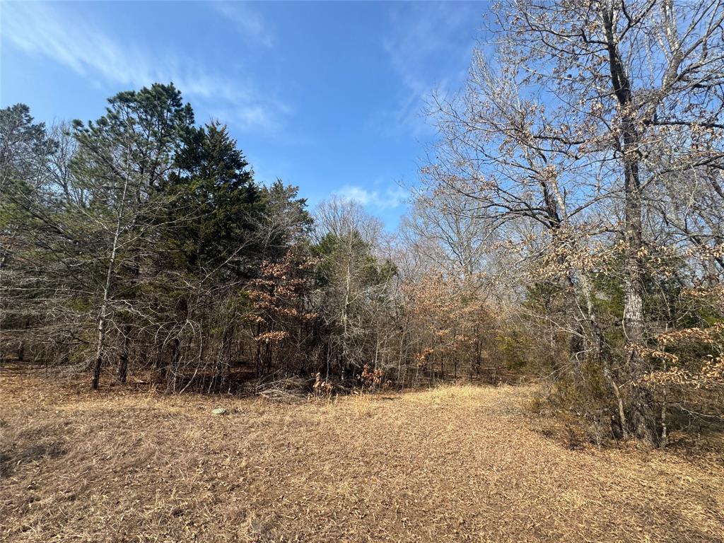 0 East 1931st Road Rattan, OK 74562 - Photo 22 of 40 Gallery Image 22