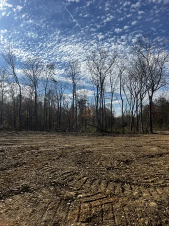 a view of a yard with trees