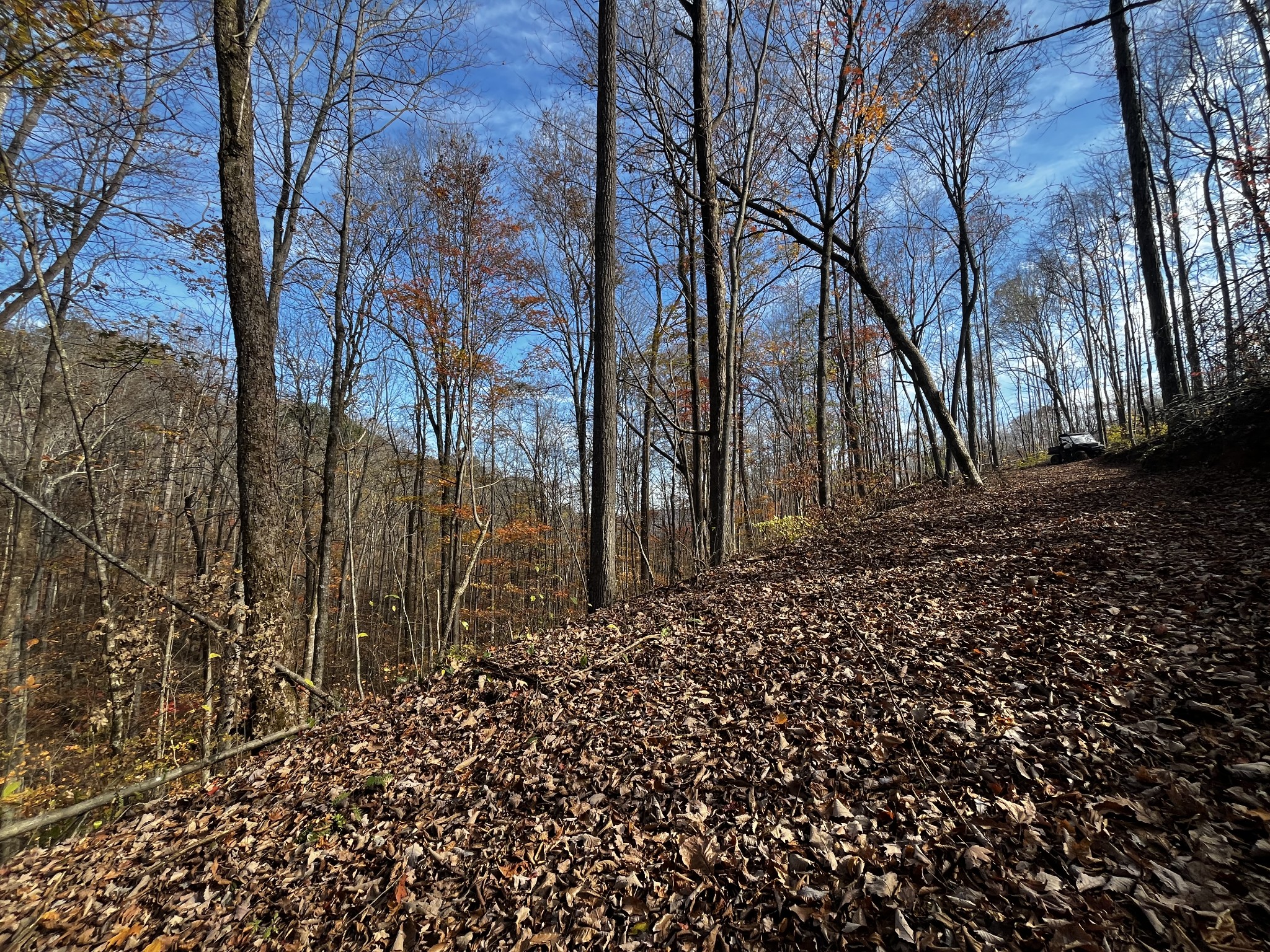 1 Northcutts Cv Road McMinnville, TN 37110 - Photo 12 of 14 a view of a yard with trees