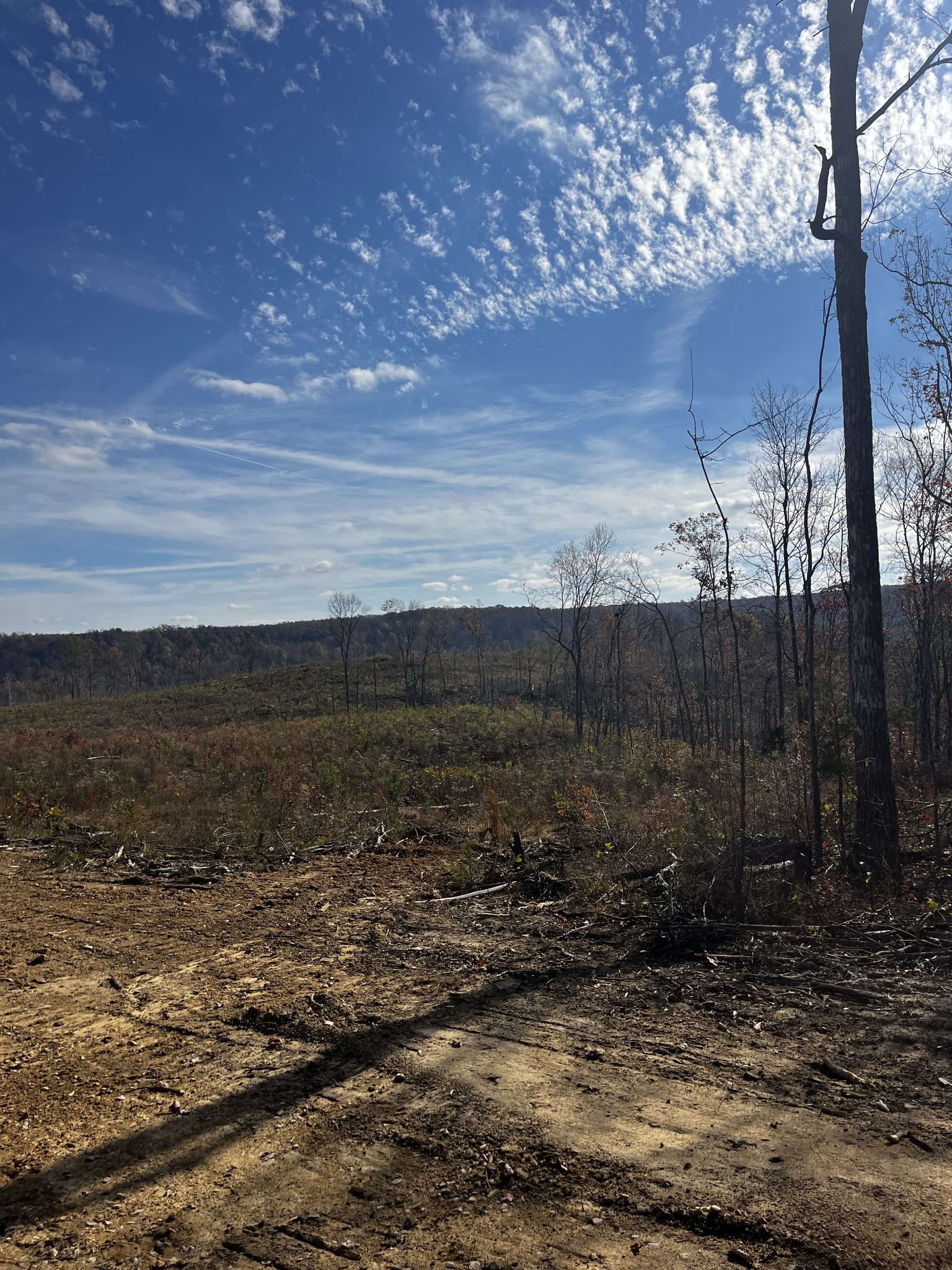 1 Northcutts Cv Road McMinnville, TN 37110 - Photo 2 of 14 a view of a yard next to a yard