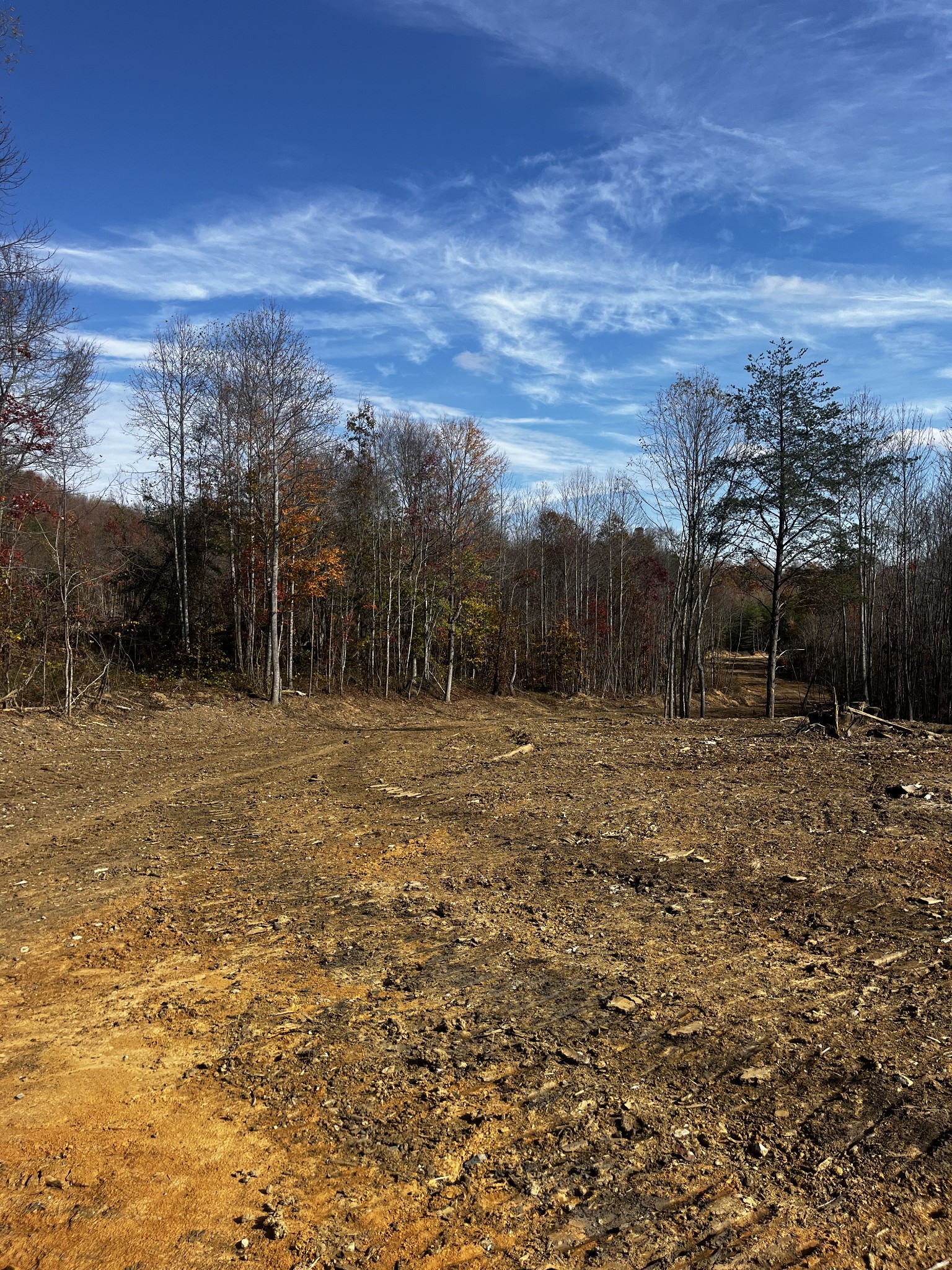 1 Northcutts Cv Road McMinnville, TN 37110 - Photo 3 of 14 a view of backyard with green space