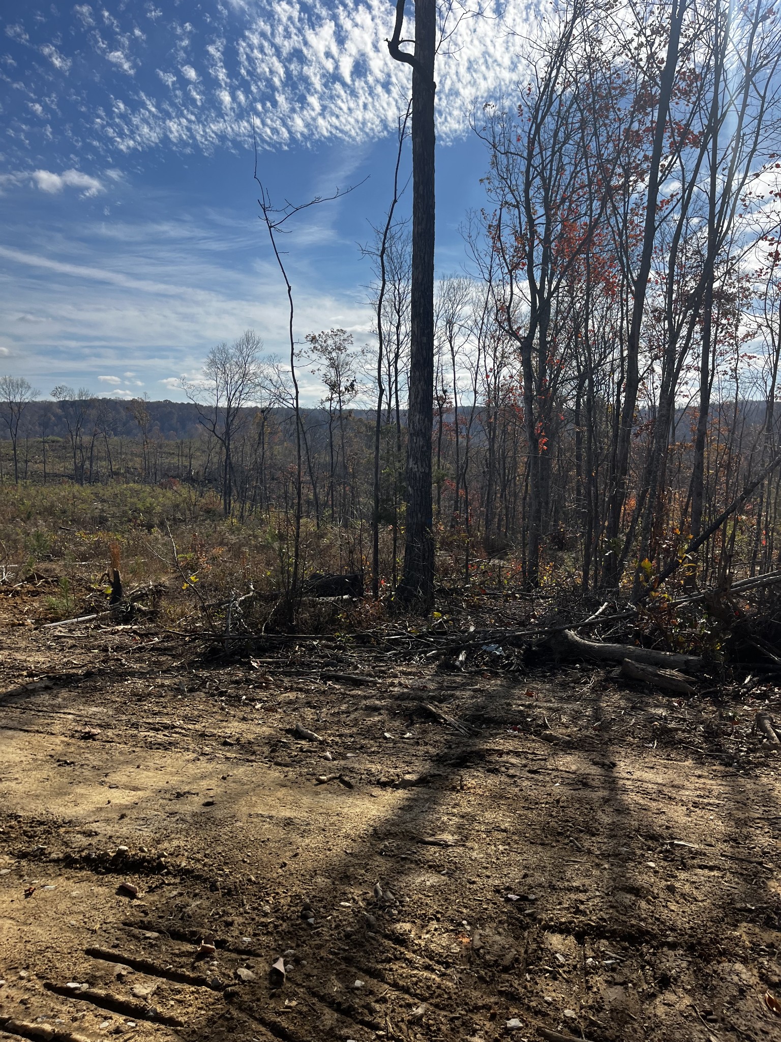 1 Northcutts Cv Road McMinnville, TN 37110 - Photo 4 of 14 a view of a backyard of the house