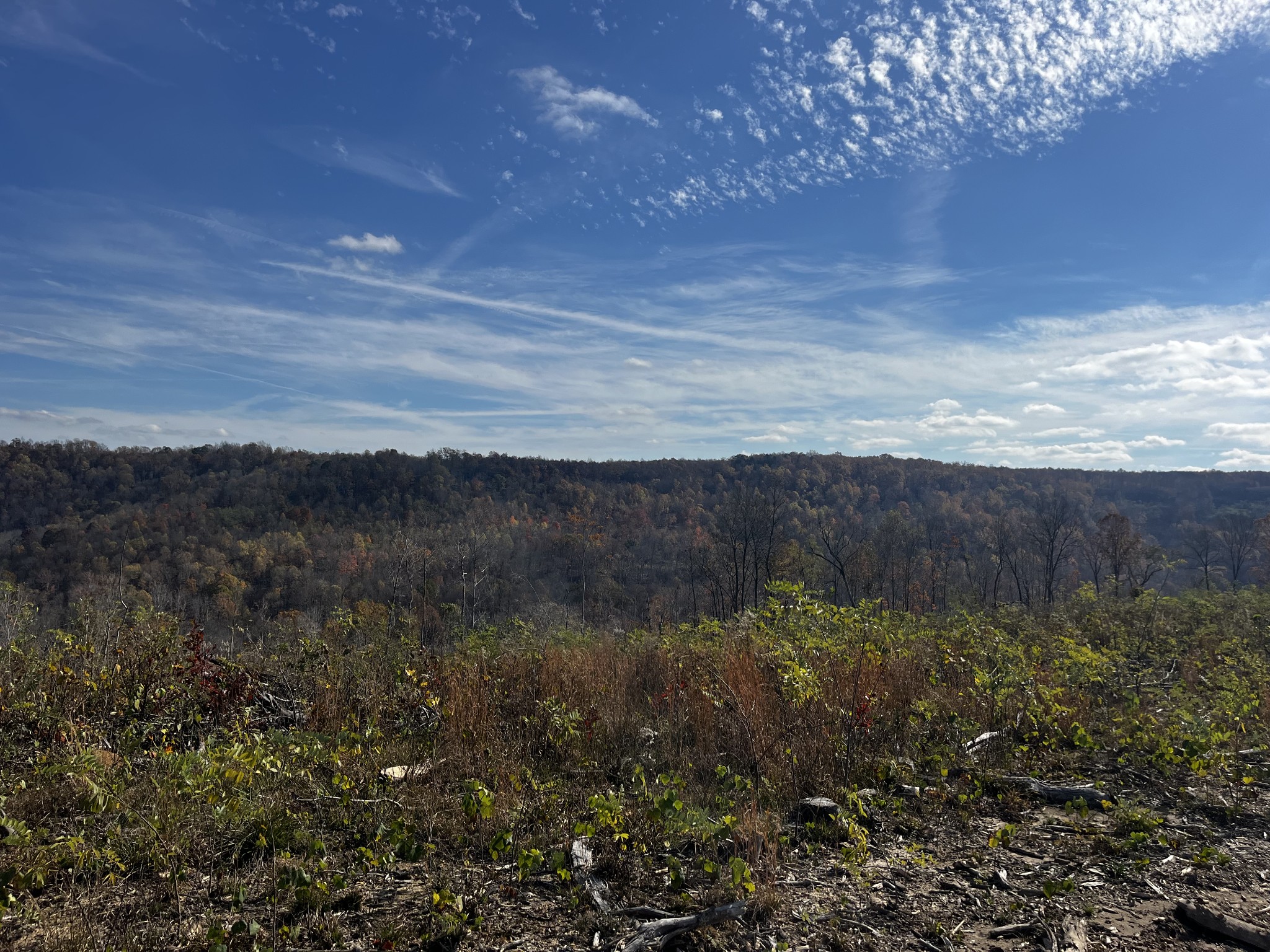 1 Northcutts Cv Road McMinnville, TN 37110 - Photo 7 of 14 a view of mountain with lake view