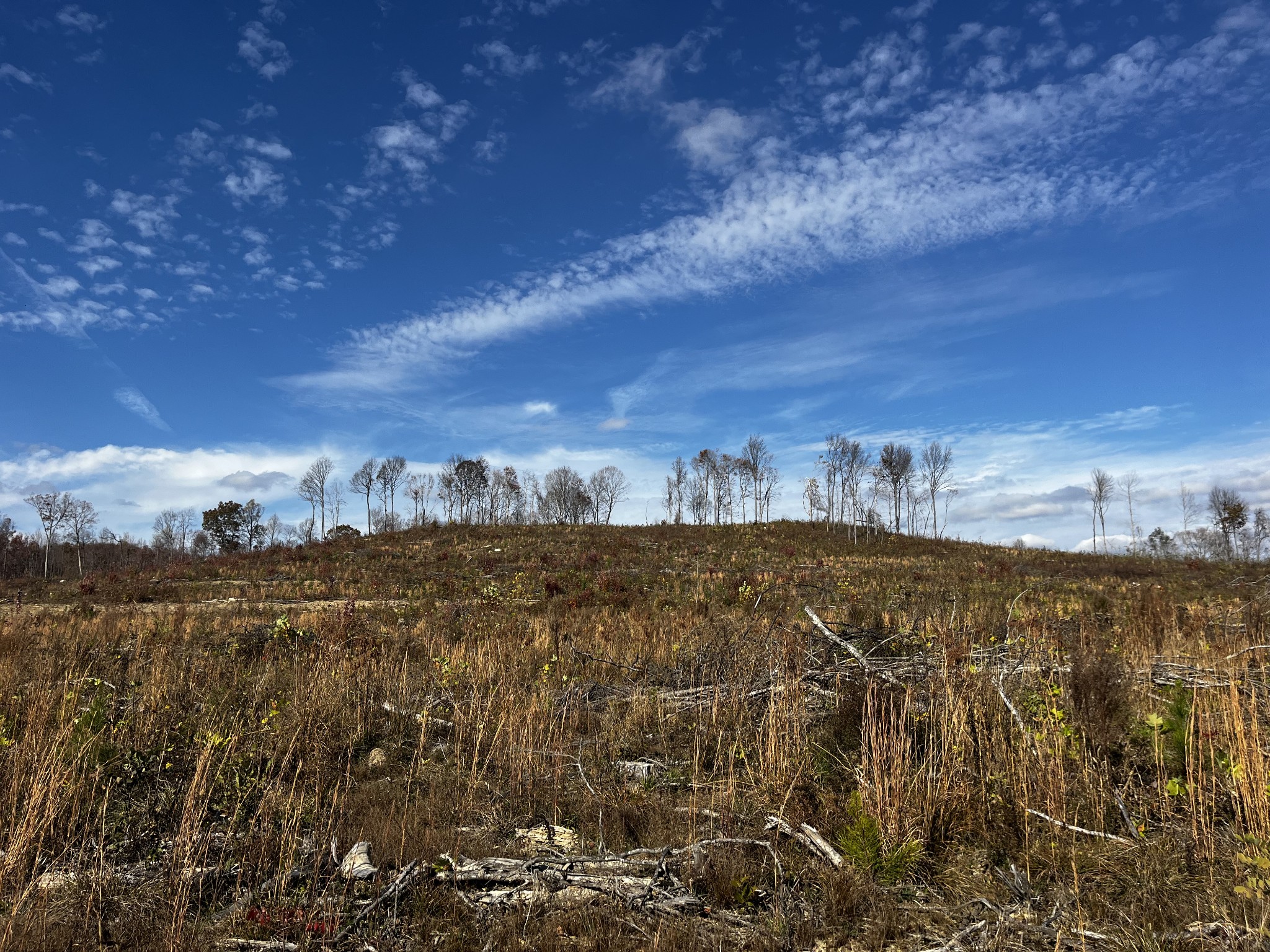 1 Northcutts Cv Road McMinnville, TN 37110 - Photo 8 of 14 a view of a city
