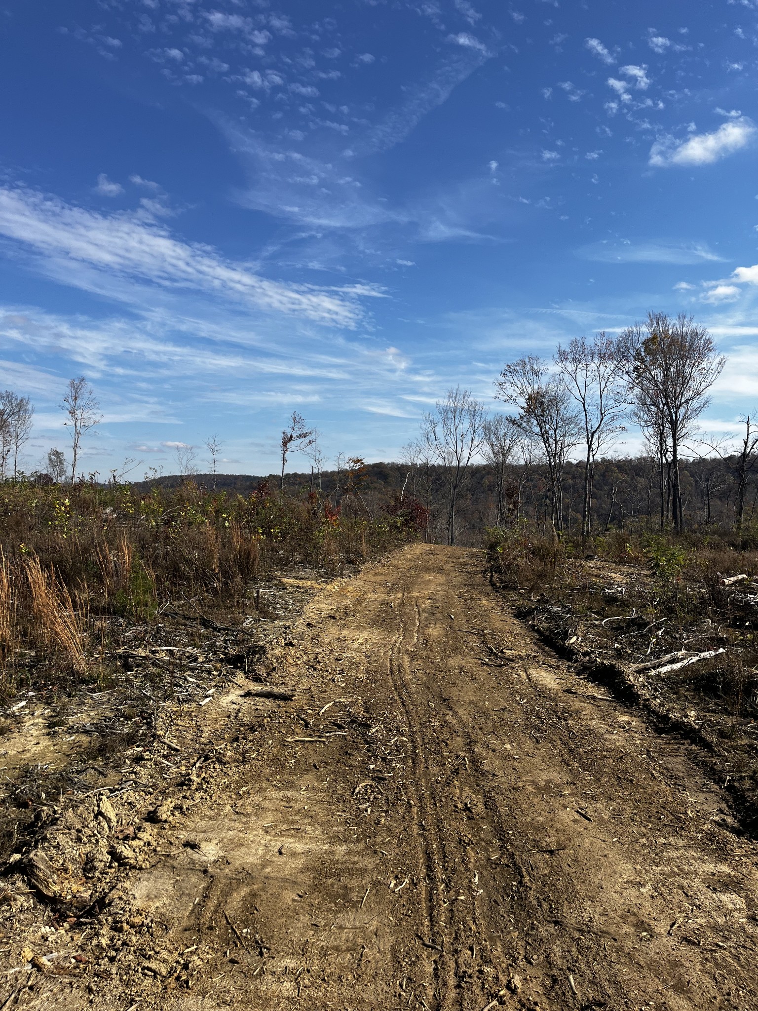 1 Northcutts Cv Road McMinnville, TN 37110 - Photo 9 of 14