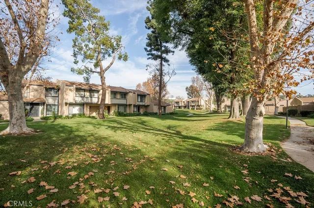 a view of a yard with a tree