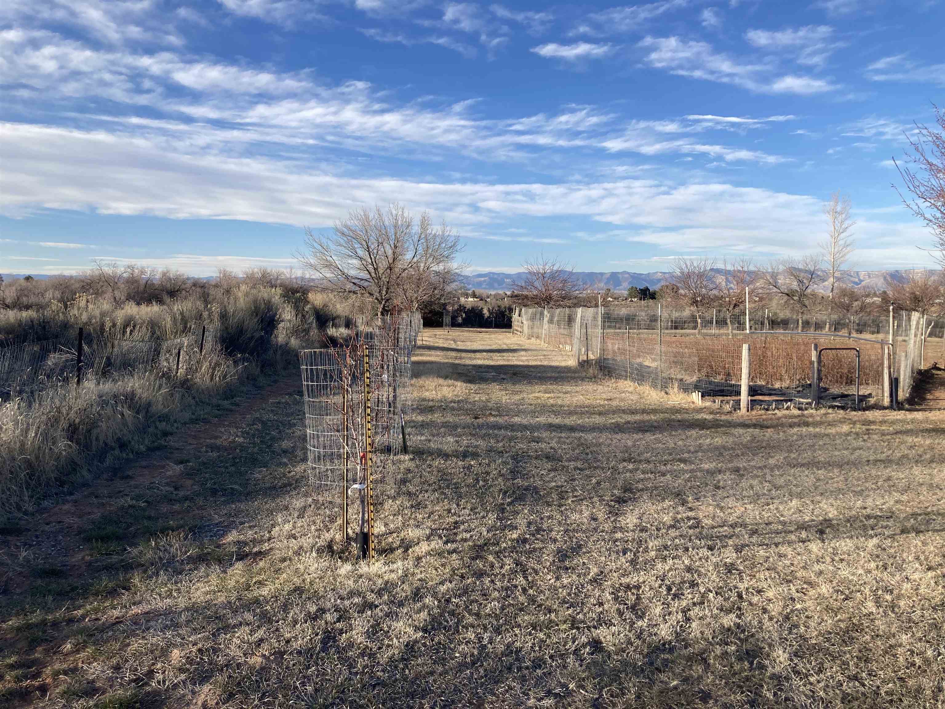 2108 Desert Hill Road Grand Junction, CO 81507 - Photo 17 of 29 a view of a yard with an empty space