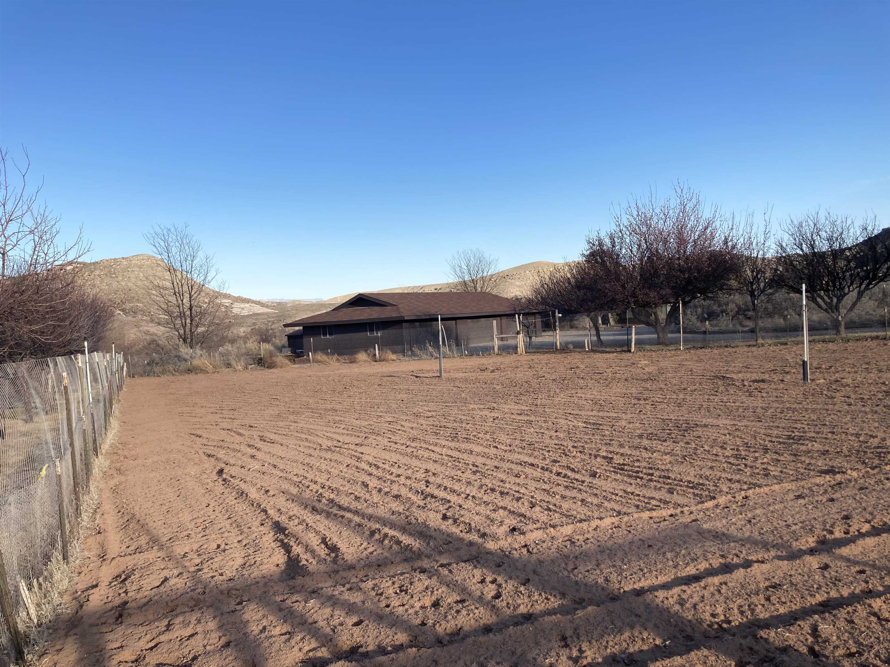 2108 Desert Hill Road Grand Junction, CO 81507 - Photo 20 of 29 a backyard of a house with lots of green space