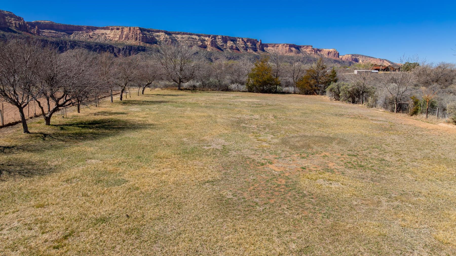 2108 Desert Hill Road Grand Junction, CO 81507 - Photo 21 of 29 a view of dirt field with mountain in the background