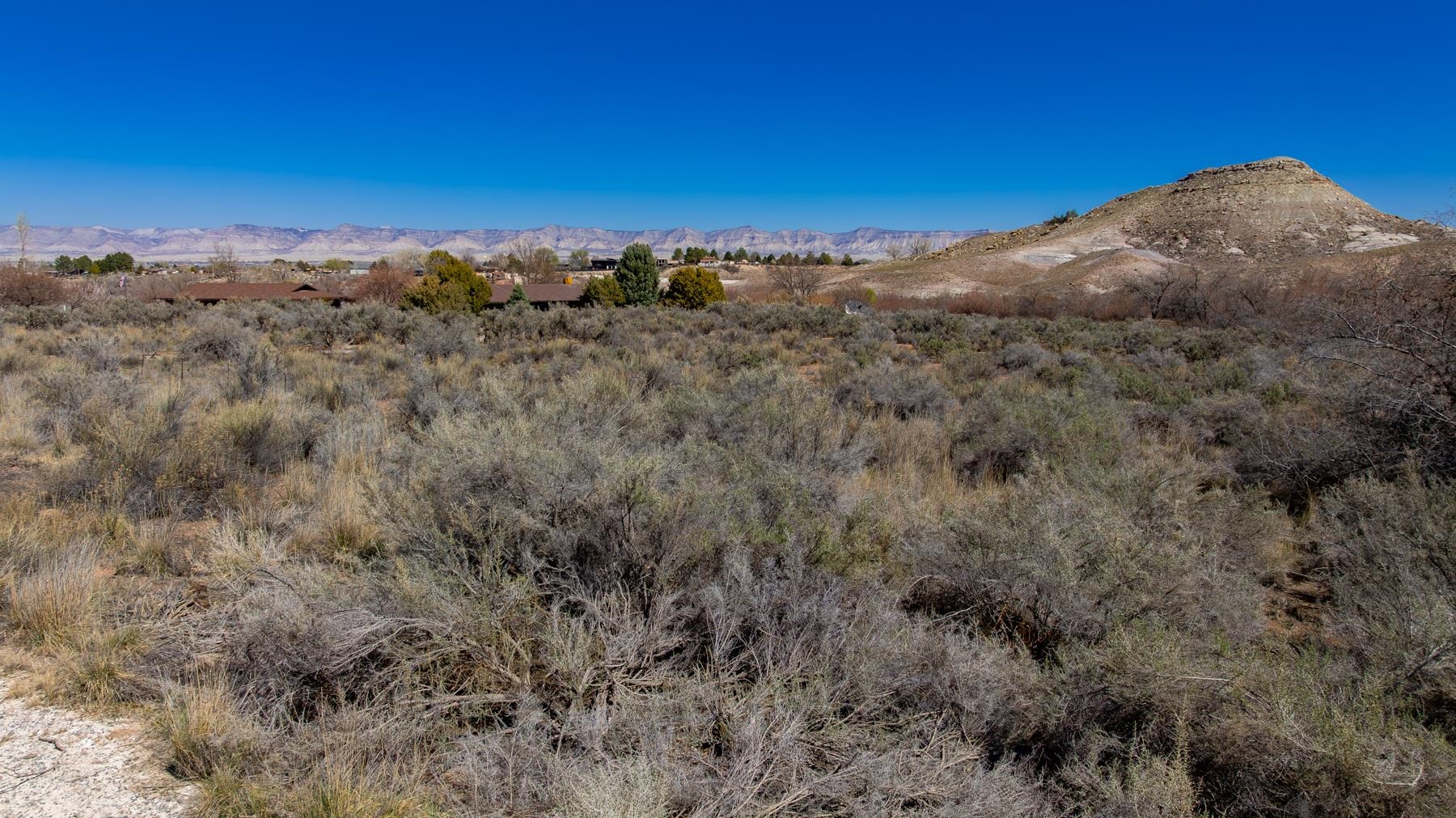 2108 Desert Hill Road Grand Junction, CO 81507 - Photo 7 of 29 a view of a dry yard