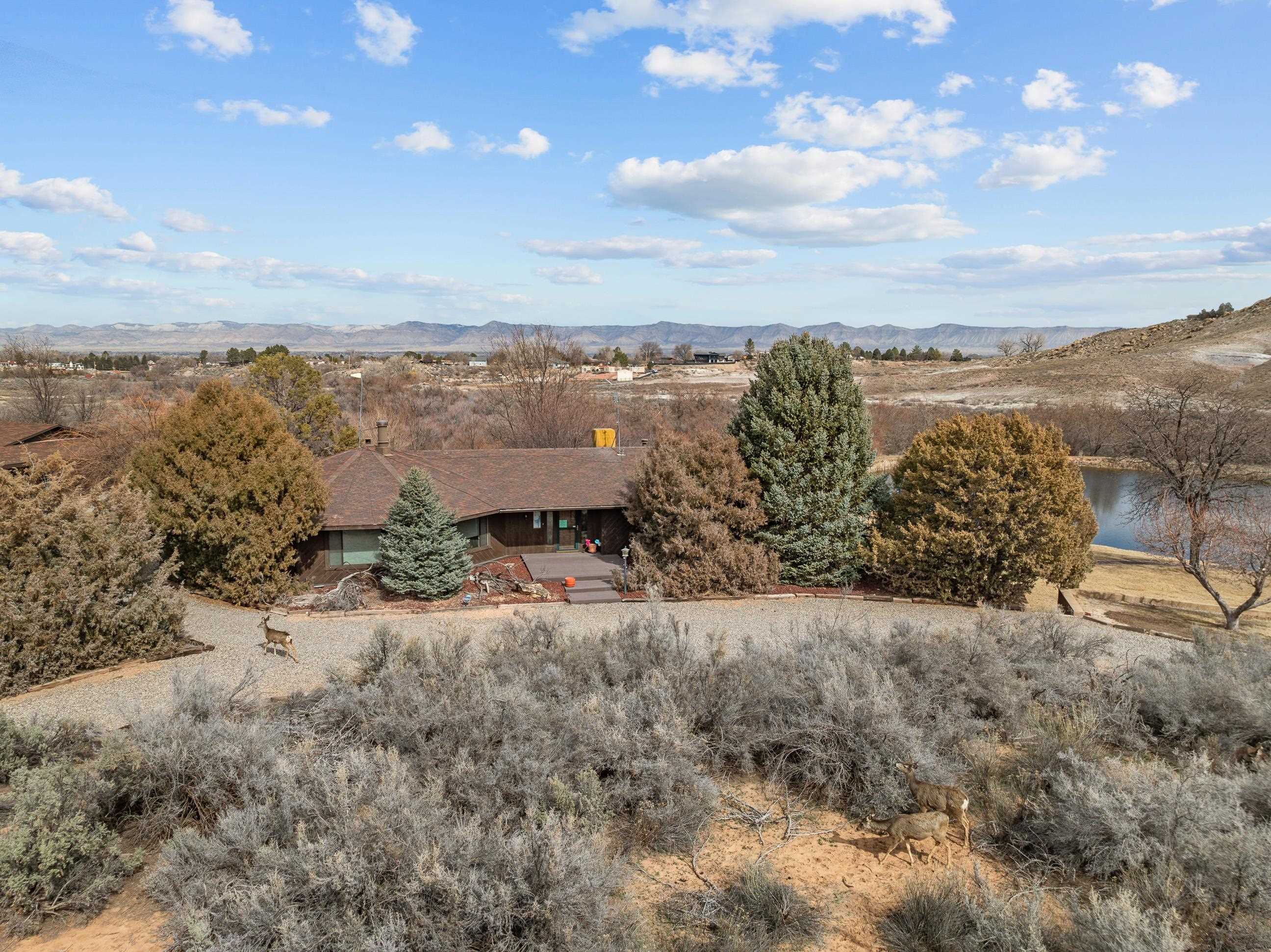2108 Desert Hill Road Grand Junction, CO 81507 - Photo 9 of 29 a view of a dry yard with wooden fence