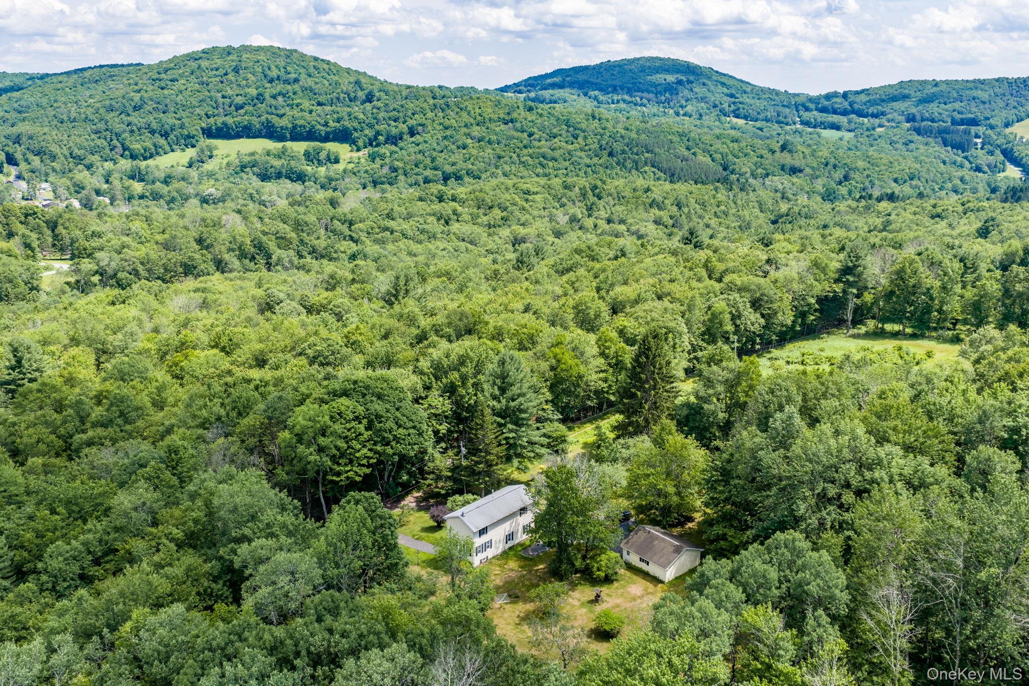 10 Hoffman Road Hankins, NY 12741 - Photo 44 of 46