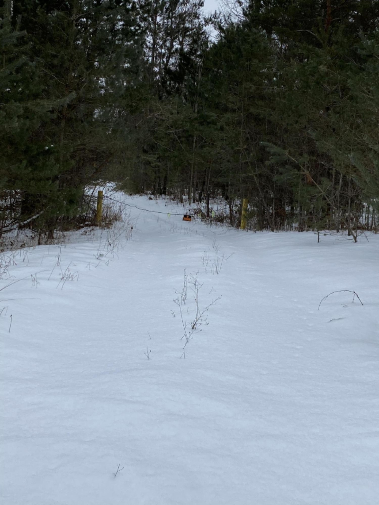 24.94-ac Jouppi Road Kaleva, MI 49645 - Photo 2 of 11 576A5AEC-68A7-4339-B9CE-7A11A8172AC9