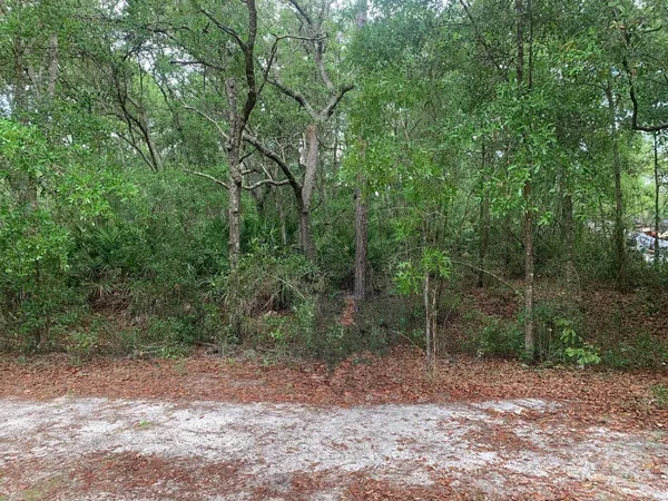 $12,500 | 209 Highline Trail, Satsuma, FL 32189