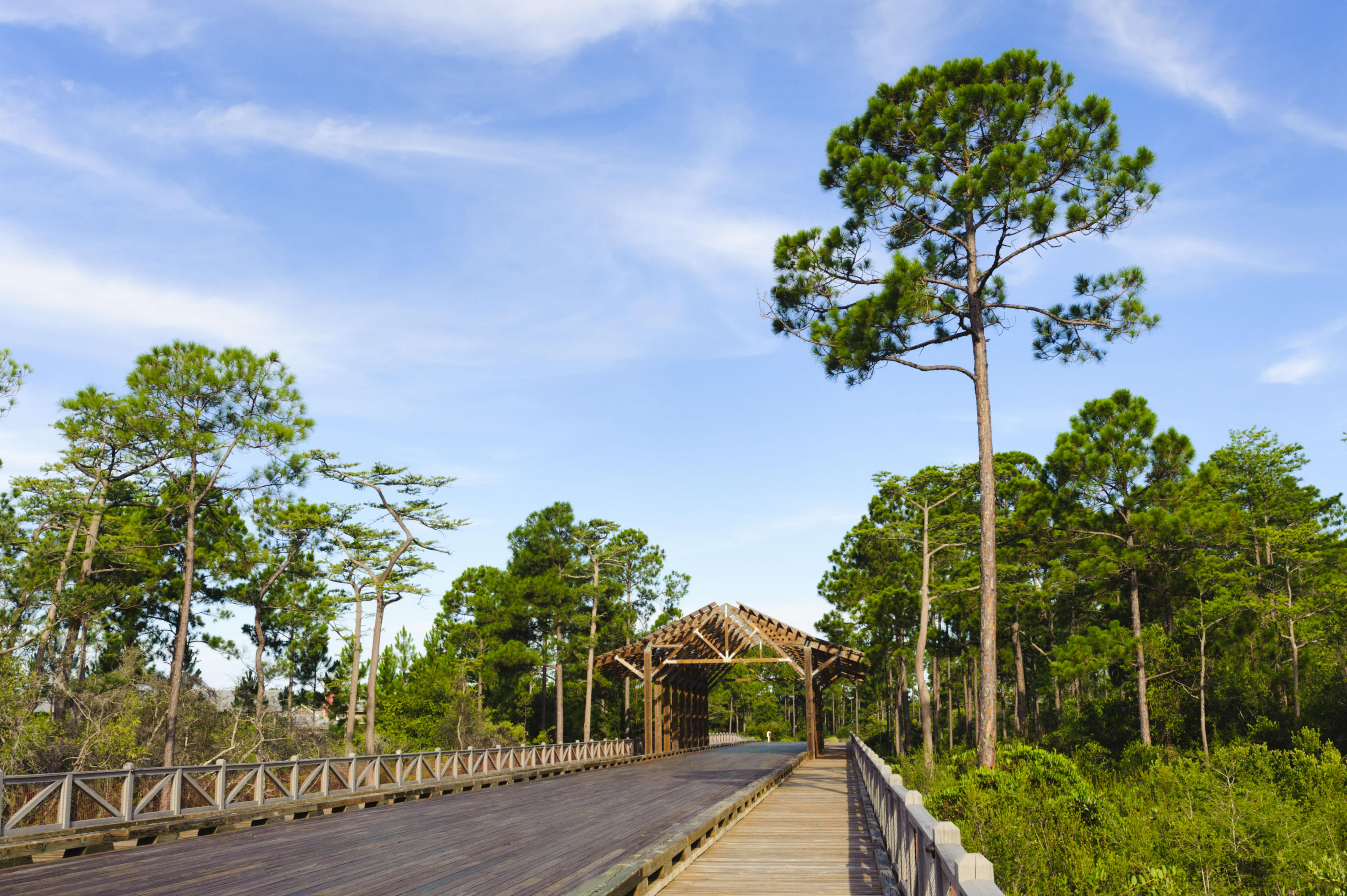 818 Sandgrass Boulevard Santa Rosa Beach, FL 32459 - Photo 27 of 34 Gallery Image 27