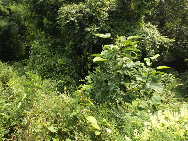 $99,900 | 926 Hart Street, Bridgeport, CT 06606