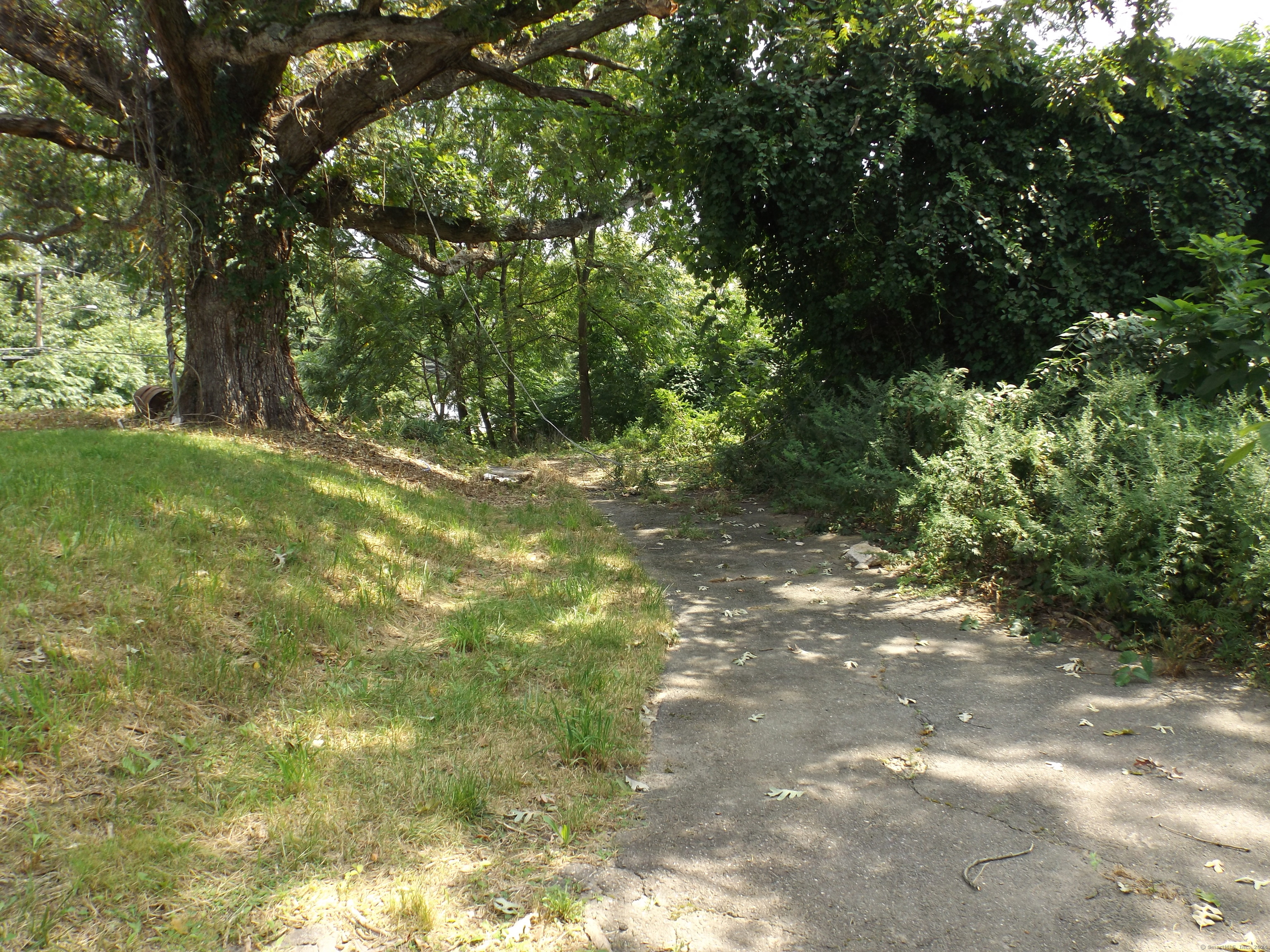 926 Hart Street Bridgeport, CT 06606 - Photo 25 of 32 a view of yard