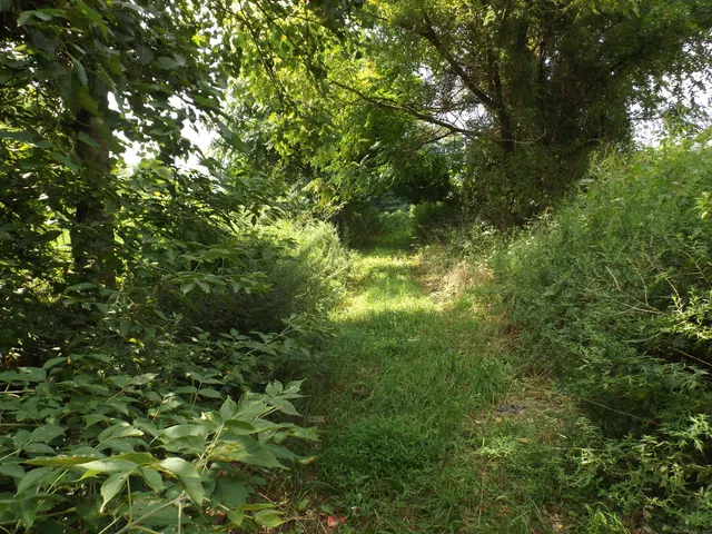 $99,900 | 926 Hart Street, Bridgeport, CT 06606