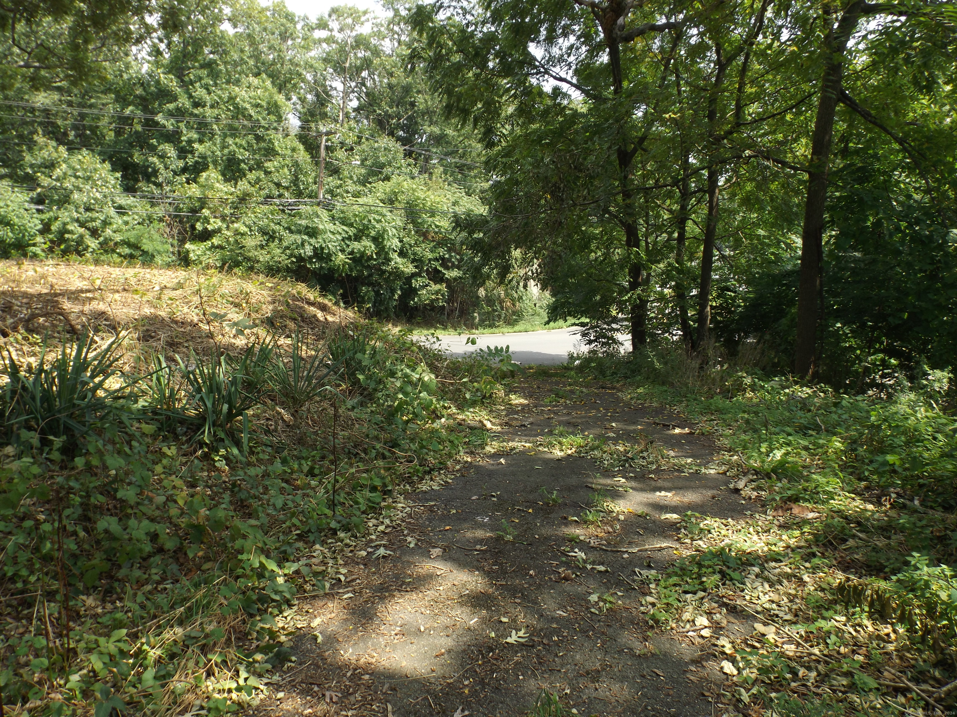 926 Hart Street Bridgeport, CT 06606 - Photo 26 of 32 a view of yard