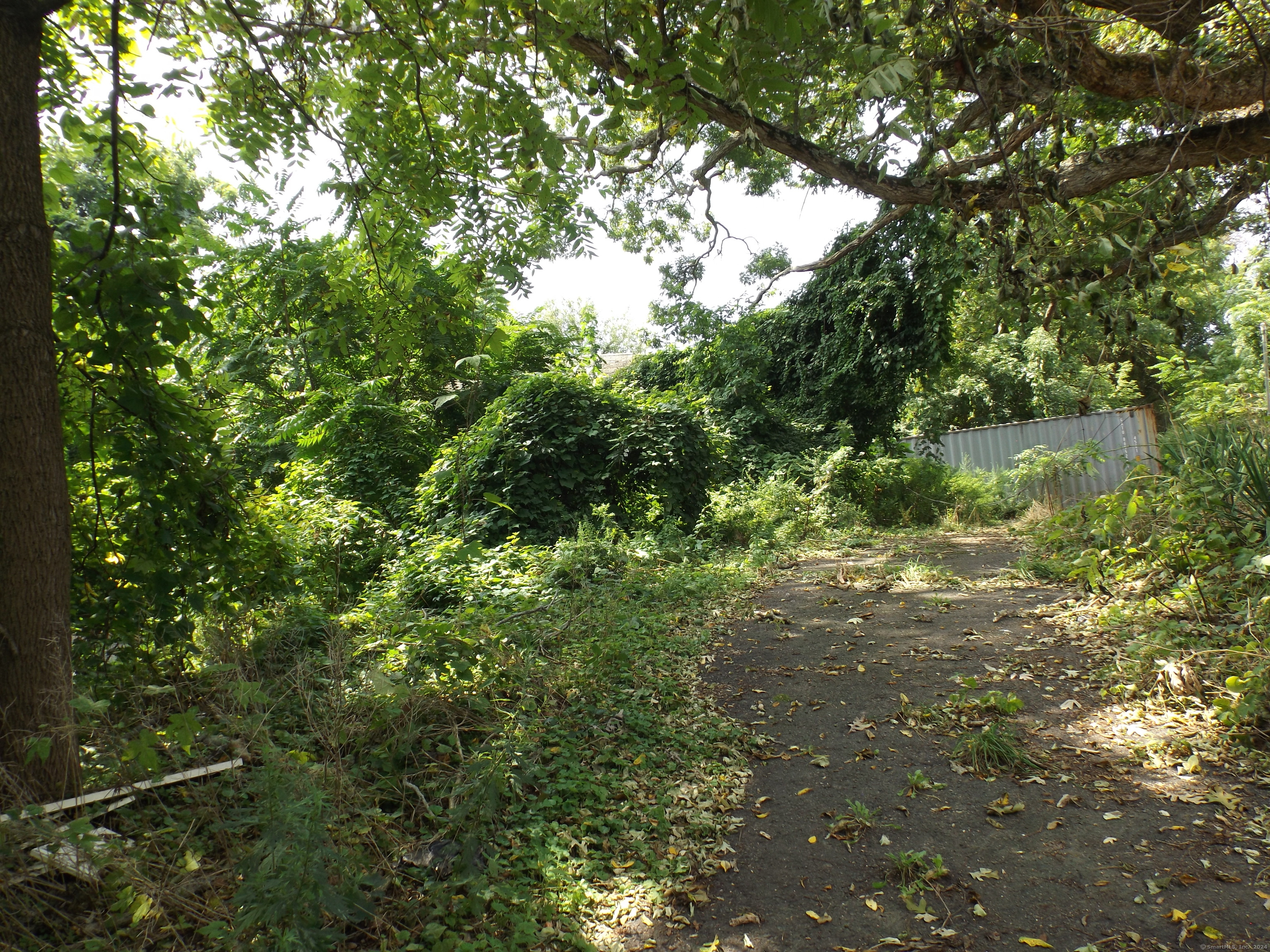 926 Hart Street Bridgeport, CT 06606 - Photo 27 of 32 a view of a forest
