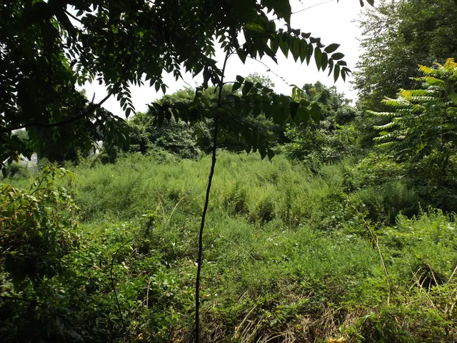 $99,900 | 926 Hart Street, Bridgeport, CT 06606