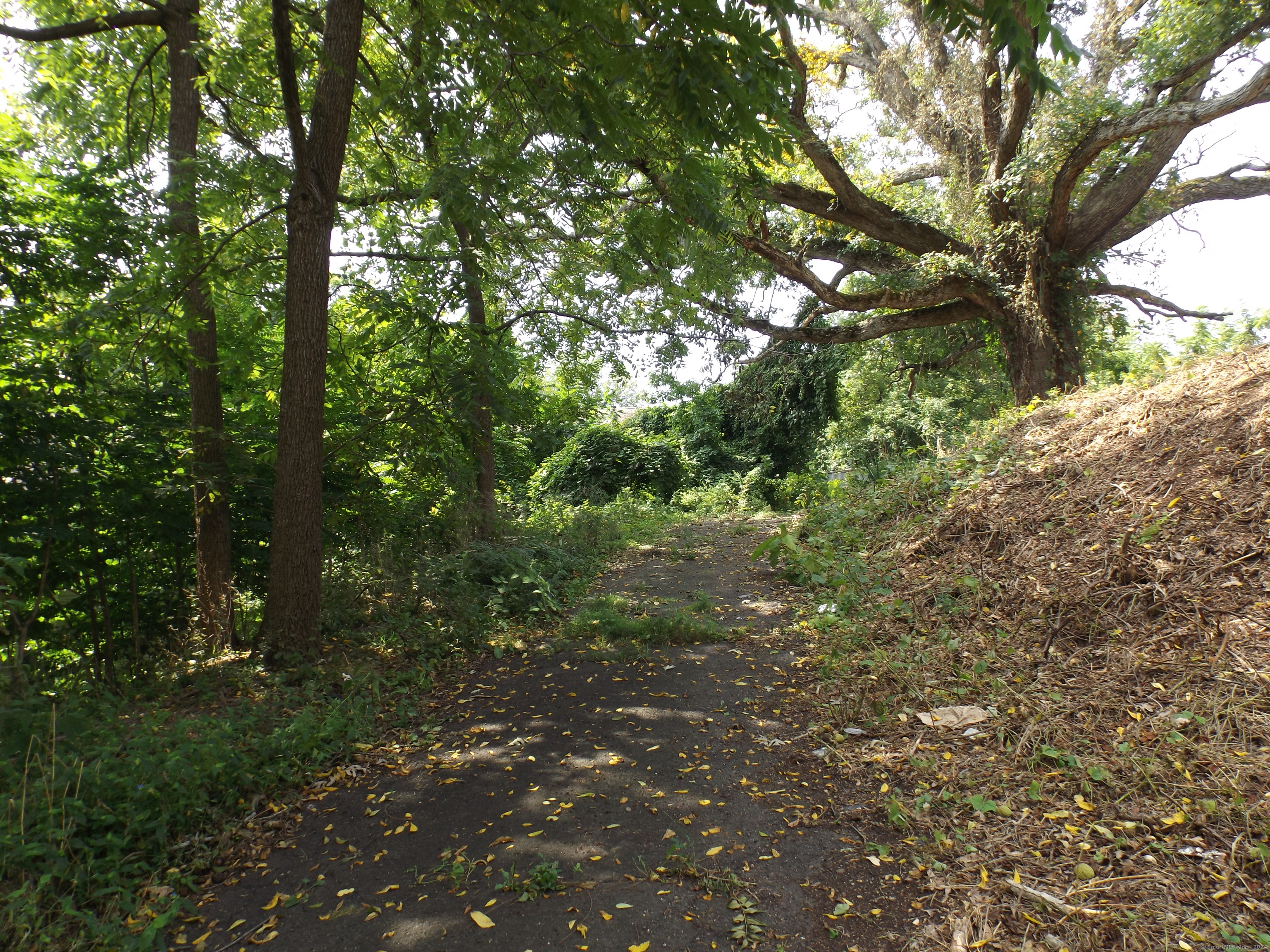 926 Hart Street Bridgeport, CT 06606 - Photo 30 of 32 a view of forest