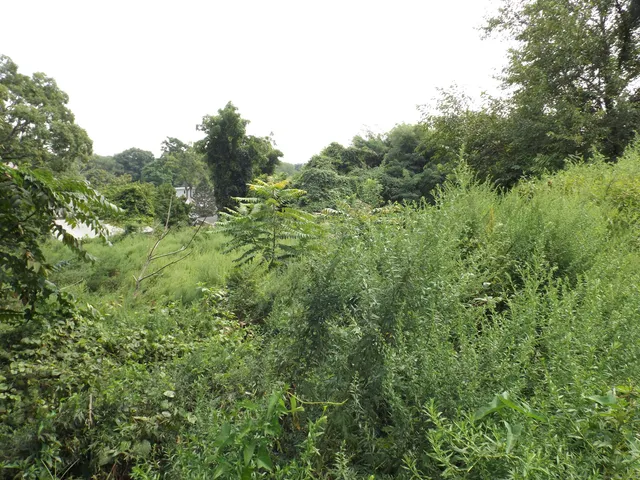 $99,900 | 926 Hart Street, Bridgeport, CT 06606